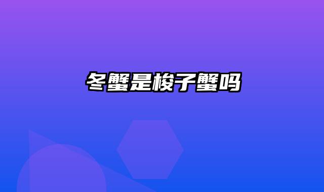 冬蟹是梭子蟹吗