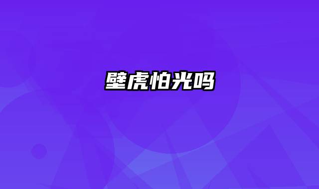 壁虎怕光吗