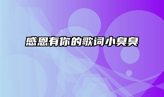 感恩有你的歌词小臭臭