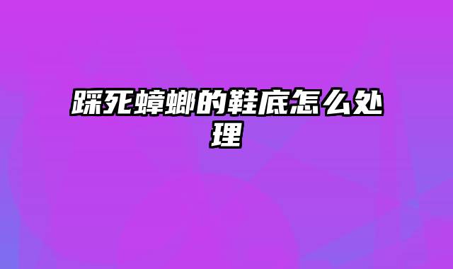 踩死蟑螂的鞋底怎么处理