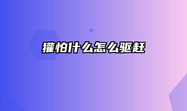 獾怕什么怎么驱赶