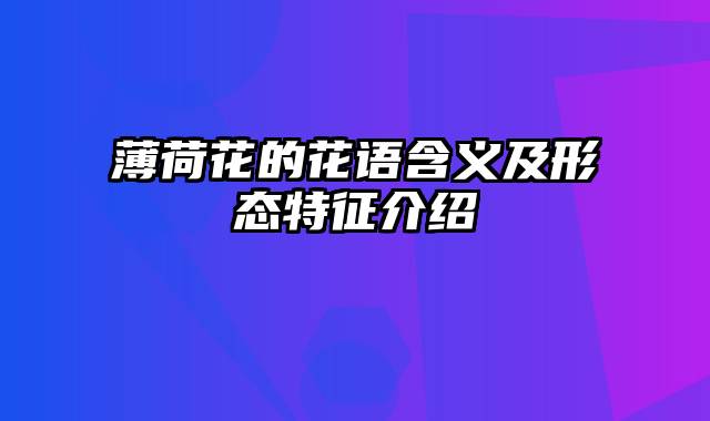 薄荷花的花语含义及形态特征介绍