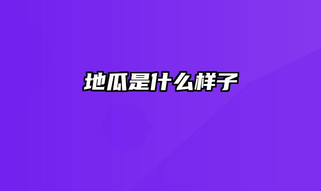 地瓜是什么样子
