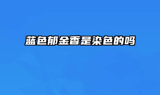 蓝色郁金香是染色的吗