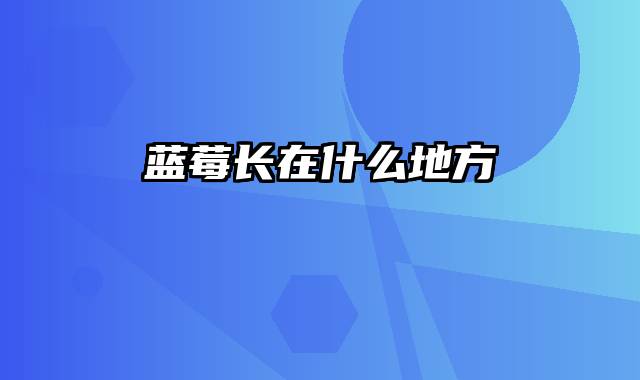 蓝莓长在什么地方