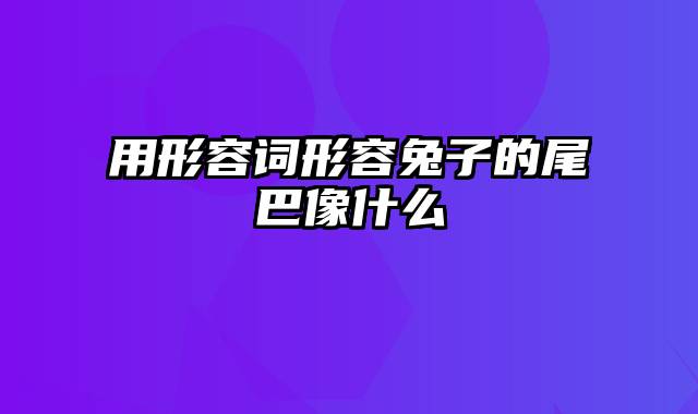 用形容词形容兔子的尾巴像什么