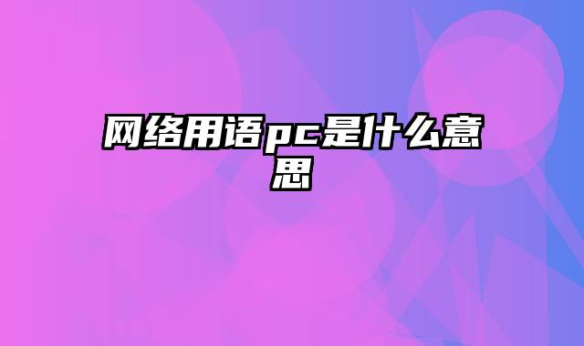 网络用语pc是什么意思