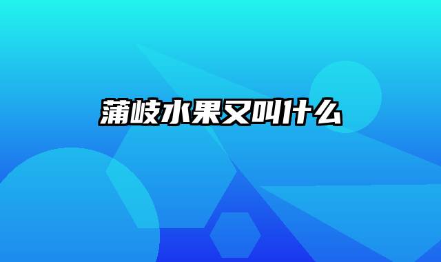 蒲岐水果又叫什么