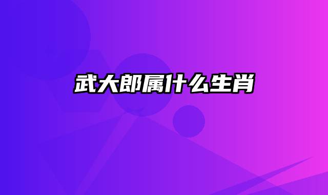 武大郎属什么生肖