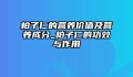 柏子仁的营养价值及营养成分_柏子仁的功效与作用