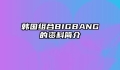 韩国组合BIGBANG的资料简介