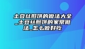 土豆丝煎饼的做法大全_土豆丝煎饼的家常做法_怎么做好吃