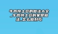 牛肉炖土豆的做法大全_牛肉炖土豆的家常做法_怎么做好吃