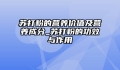 苏打粉的营养价值及营养成分_苏打粉的功效与作用