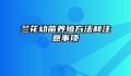 兰花幼苗养殖方法和注意事项