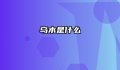 乌木是什么