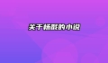 关于杨戬的小说