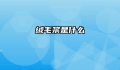 绒毛浆是什么