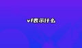 vf表示什么