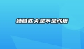皓首匹夫是不是成语