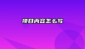 项目内容怎么写