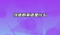 汉语的英语是什么