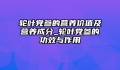 轮叶党参的营养价值及营养成分_轮叶党参的功效与作用