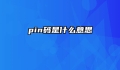 pin码是什么意思