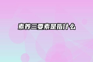 素养三要素是指什么