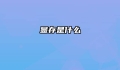 显存是什么