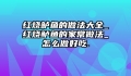 红烧鲈鱼的做法大全_红烧鲈鱼的家常做法_怎么做好吃.