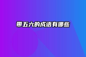 带五六的成语有哪些