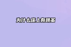 为什么床上有跳蚤