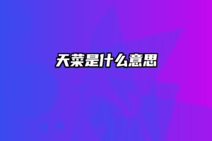 天菜是什么意思