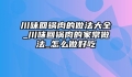 川味回锅肉的做法大全_川味回锅肉的家常做法_怎么做好吃