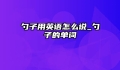 勺子用英语怎么说_勺子的单词