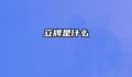 立牌是什么