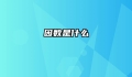 因数是什么