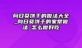 向日葵饼干的做法大全_向日葵饼干的家常做法_怎么做好吃