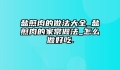 盐煎肉的做法大全_盐煎肉的家常做法_怎么做好吃.