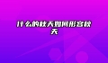 什么的秋天如何形容秋天