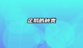 企鹅的种类