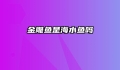 金雕鱼是海水鱼吗