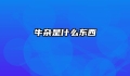 牛杂是什么东西