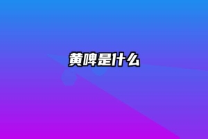 黄啤是什么