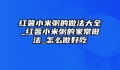 红薯小米粥的做法大全_红薯小米粥的家常做法_怎么做好吃