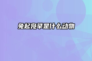 兔起凫举是什么动物