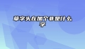 草字头在加个非是什么字
