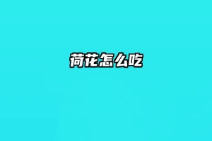 荷花怎么吃