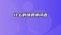什么的晚霞填词语